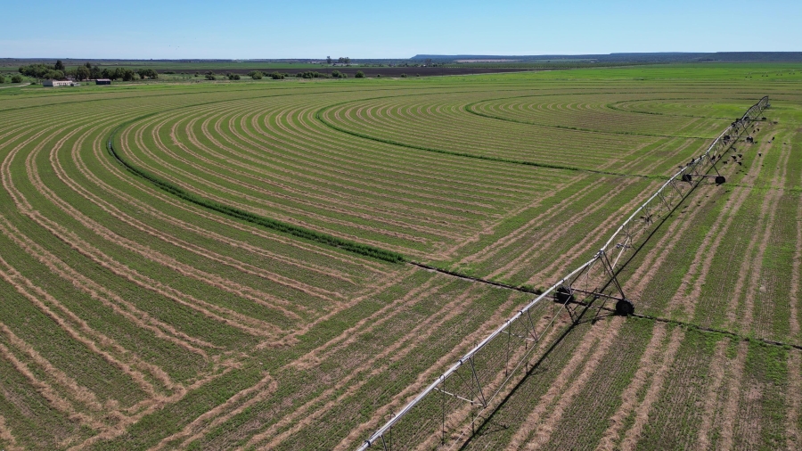 0 Bedroom Property for Sale in Douglas Rural Northern Cape